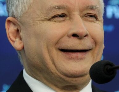Miniatura: Kaczyński przeprosił Kaczmarka? Ugoda za...
