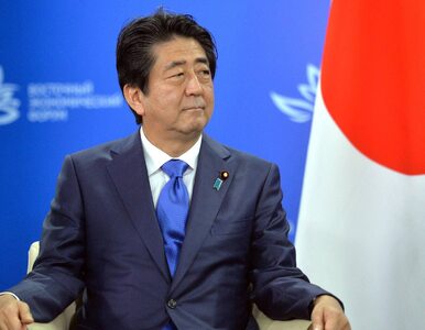 Miniatura: Japoński premier złożył ofiarę w...
