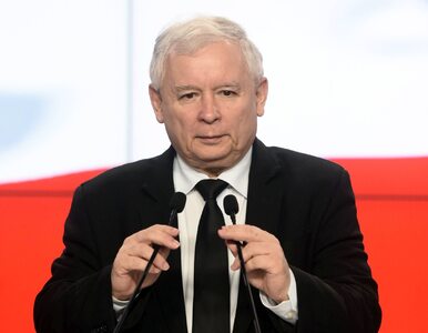 Miniatura: Premier Kaczyński