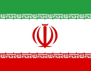 Miniatura: Iran deklaruje swoją pomoc w zwalczaniu...