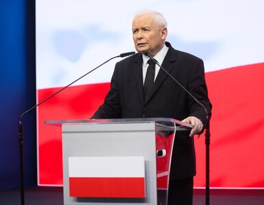 Miniatura: Kaczyński wygłosił oświadczenie ws. filmu...