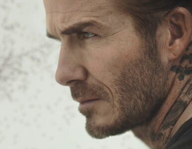 Miniatura: David Beckham „zaatakowany” przez rój...