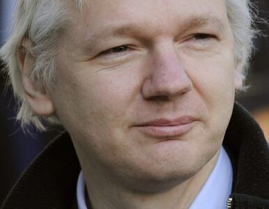 Miniatura: USA: azyl dla Assange'a? Nie mieszamy się...