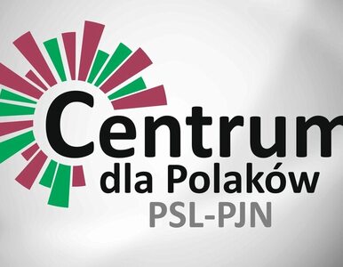 Miniatura: PSL i PJN tworzą "Centrum dla Polaków"