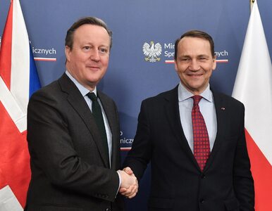 Miniatura: Cameron w Polsce wygłosił z Sikorskim apel...