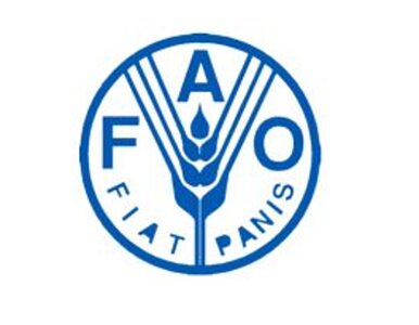 Miniatura: Ruszył szczyt FAO