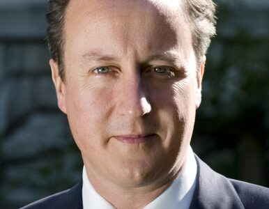 Miniatura: "Cameron obiecał coś PiS-owi? Tani gest"