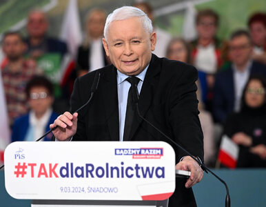 Miniatura: Jarosław Kaczyński nawiązał do protestu...