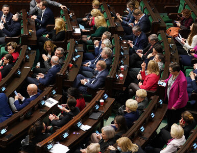 Miniatura: Sejm podjął decyzję ws. dalszych losów...