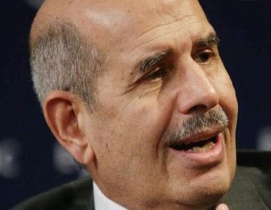 Miniatura: ElBaradei chce przyspieszenia reform w...