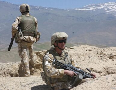 Miniatura: W Afganistanie NATO będzie negocjować z...
