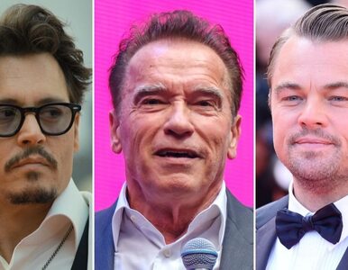 Miniatura: Depp, Schwarzenegger, DiCaprio....
