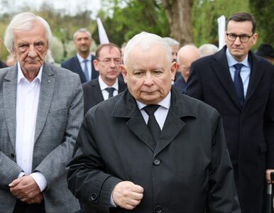 Miniatura: Jarosław Kaczyński zostanie ukarany? Do...