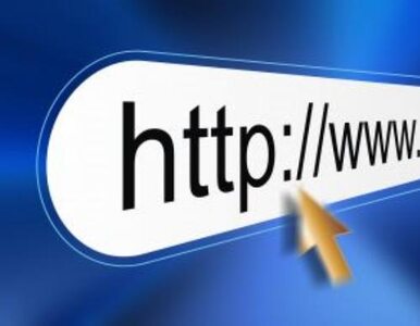 Miniatura: PiS chce nacjonalizacji domen internetowych