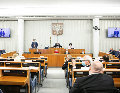 Miniatura: Senat nie przyjął ustawy o pomocy Ukraińcom