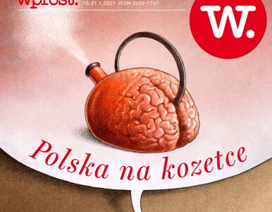 Miniatura: Polacy nie wytrzymują psychicznie. „Liczba...