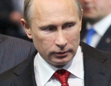 Miniatura: Putin odeśle Miedwiediewa do rozmów z Polską?