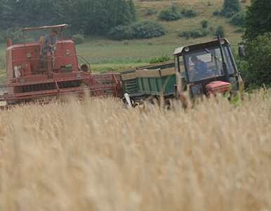 Miniatura: Rolnicy tracą fundusze z Unii