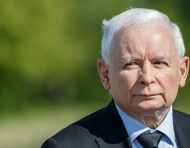 Miniatura: Prezes Kaczyński odbezpieczył granat. Kogo...