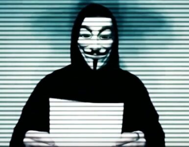 Miniatura: Anonymous wytaczają ciężkie działa. W...