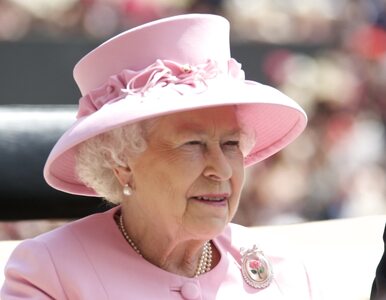 Miniatura: Królowa Elżbieta ułaskawiła wybitnego...
