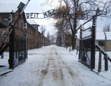 Miniatura: Obchody wyzwolenia Auschwitz. USA...