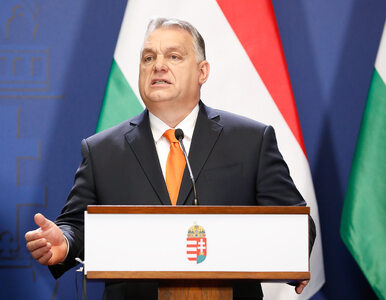 Miniatura: Viktor Orban ujawnił majątek. Uwagę zwraca...