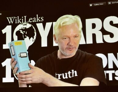 Miniatura: WikiLeaks opublikuje dokumenty dot....