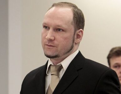 Miniatura: Morderca dzieci Breivik chwalił polskiego...