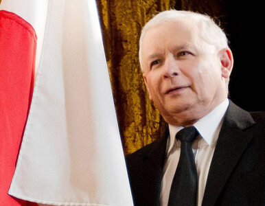 Miniatura: Poseł PiS: Kaczyński prezydentem? Trzeba...