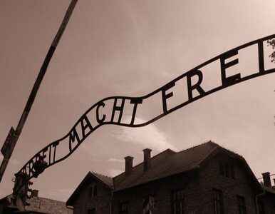 Miniatura: Szef IPN: Mamy listę oprawców z Auschwitz....