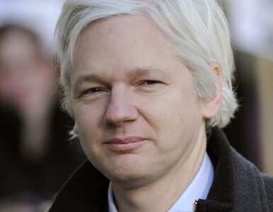 Miniatura: Co dalej z Assangem? "Uprawiał seks za...