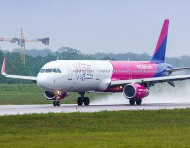 Miniatura: Wizz Air uruchomił nowe trasy z Polski....