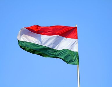 Miniatura: Smirnow: Polityka z Węgrami wzmocni Polskę