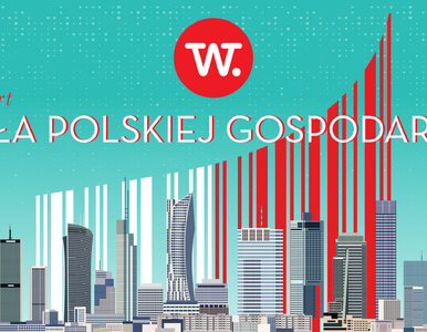 Miniatura: W jakim stanie jest polska gospodarka....