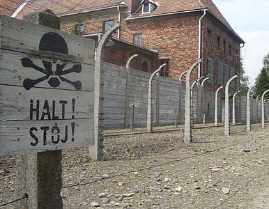 Miniatura: Unia dofinansuje Muzeum Auschwitz-Birkenau