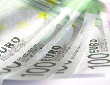 Miniatura: MFW ma 430 miliardów euro na ratowanie Europy