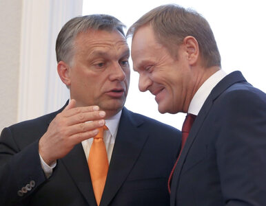 Miniatura: Orban rozbija jedną listę, Tusk potrzebuje...