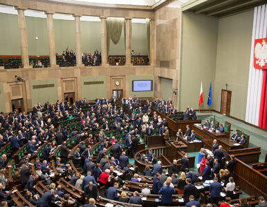 Miniatura: Sejm zdecydował. Wniosek ws. referendum...
