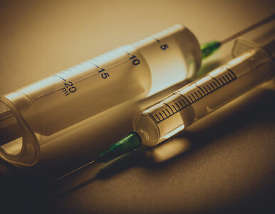 Miniatura: Badanie szczepionki COVID-19 rozpocznie...