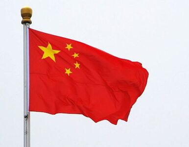 Miniatura: Chiny chcą prawa głosu przy wyborze szefa MFW
