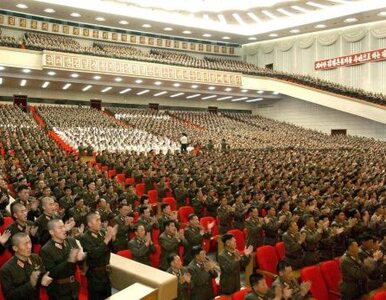 Miniatura: Korea Północna: już wiadomo na co...