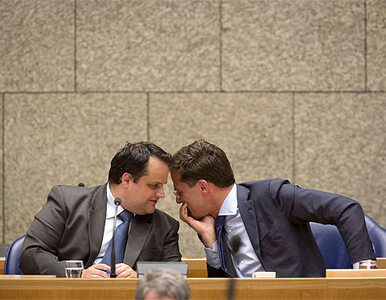 Miniatura: Holandia: parlament zaakceptował cięcia,...