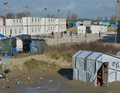 Miniatura: Dzieci z obozu dla uchodźców w Calais...