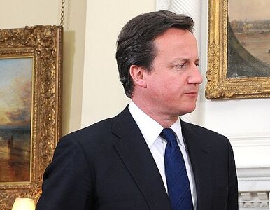 Miniatura: Cameron ostro przeciwko Tuskowi na czele...