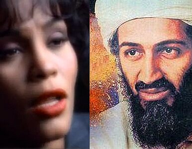 Miniatura: Osama Bin Laden lubi słuchać Whitney Houston