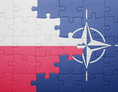 Miniatura: 20 lat Polski w NATO. „Symboliczne...