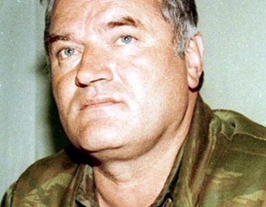 Miniatura: Zatrzymanie Mladicia podzieliło Bośnię
