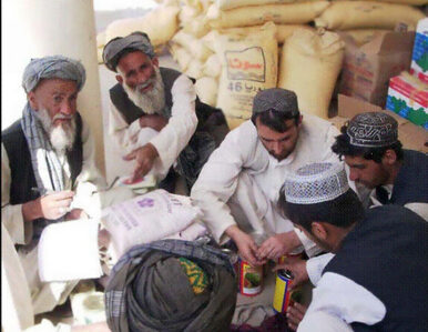 Miniatura: Połowa Afgańczyków wzięła udział w wyborach