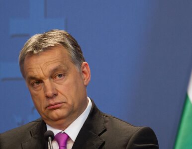 Miniatura: Orban: Węgry nigdy nie poprą sankcji...